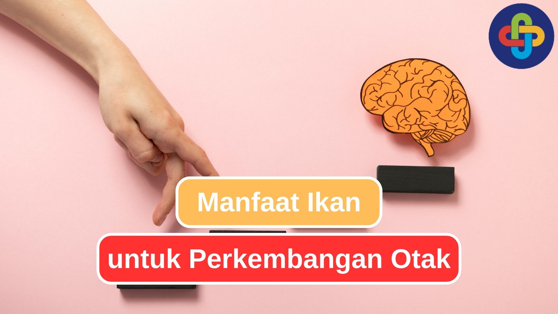 8 Alasan Kenapa Rutin Makan Ikan Baik untuk Otakmu